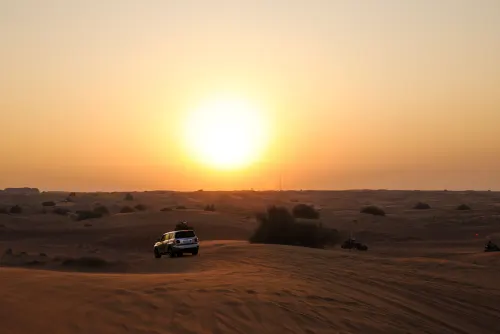 Private Desert Photography Tour — Golden Hour, Sunrise or Night Sky in Dubai — Rahvo Travel Tourism photo 7 of 7
